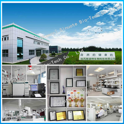 扶風斯諾特工廠 聚焦人參提取物與環保產品研發，引領綠色健康產業新趨勢